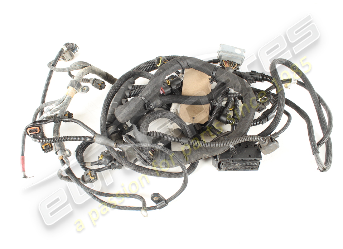 USED Ferrari LEFT INJECTION WIRING . PART NUMBER 264376 (1)