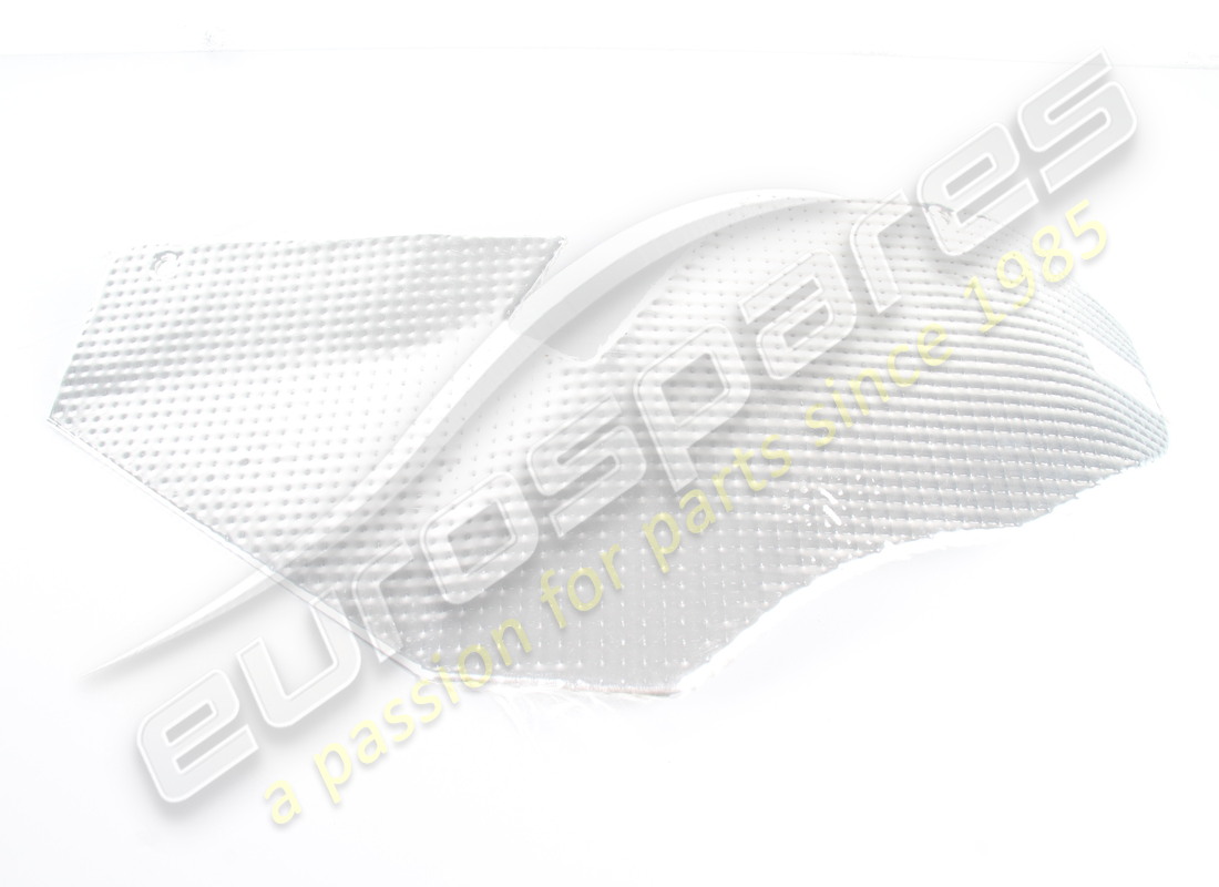new lamborghini protection. part number 429863248b (1)