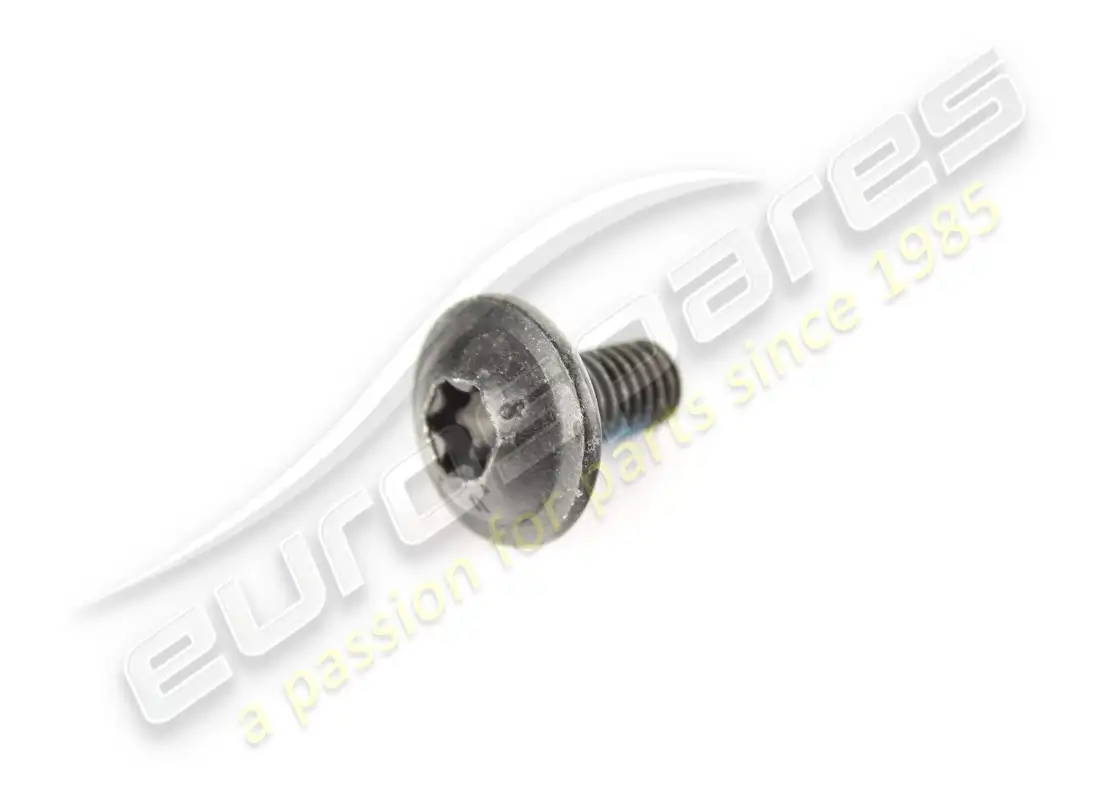 new lamborghini attachment screw. part number 1z0860505c (1)