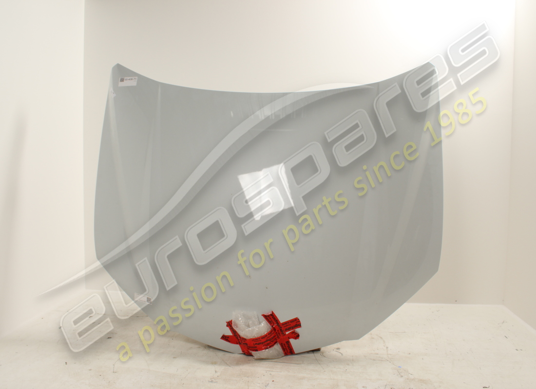 USED Lamborghini HOOD . PART NUMBER 4ML823029 (1)