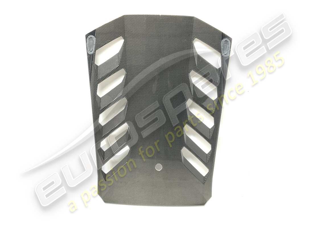 NEW (OTHER) Lamborghini REAR BONNET . PART NUMBER 4TA827023A (1)