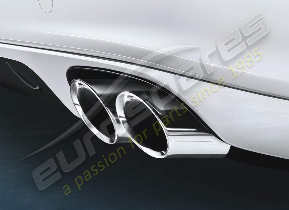 new porsche sports tailpipes. part number 97004420000 (1)