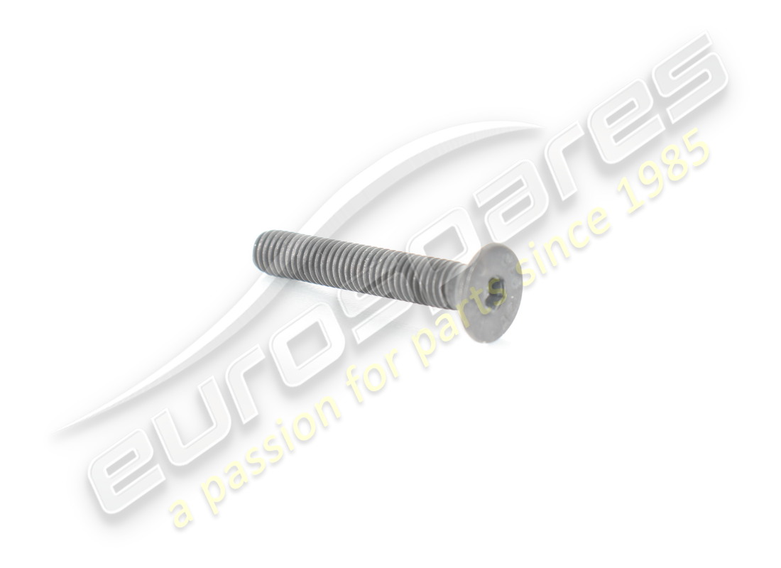 new ferrari screw. part number 68927700 (1)