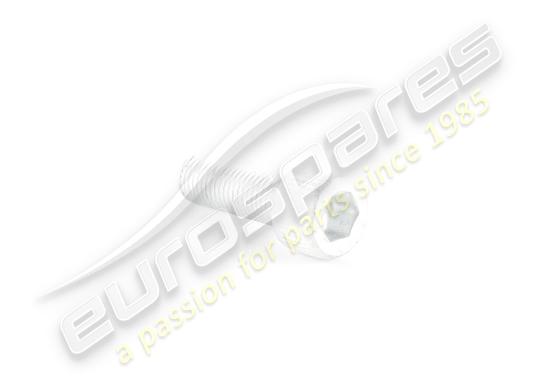 new ferrari screw. part number 14307524 (1)