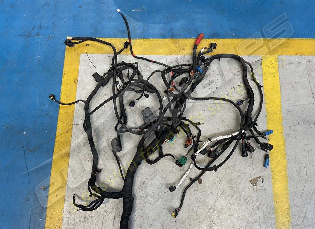 DAMAGED Ferrari BODY CABLE . PART NUMBER 793877 (1)