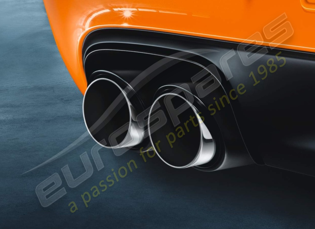 new porsche gts sports tailpipes. part number 99704420008 (1)