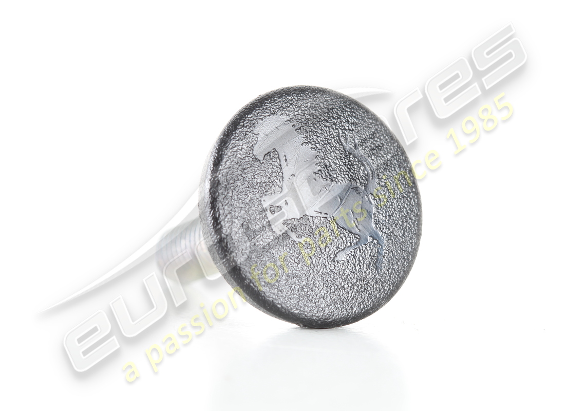 new ferrari button. part number 85199200 (1)