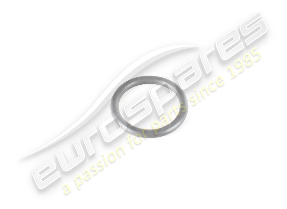 new eurospares gasket. part number 101031 (1)