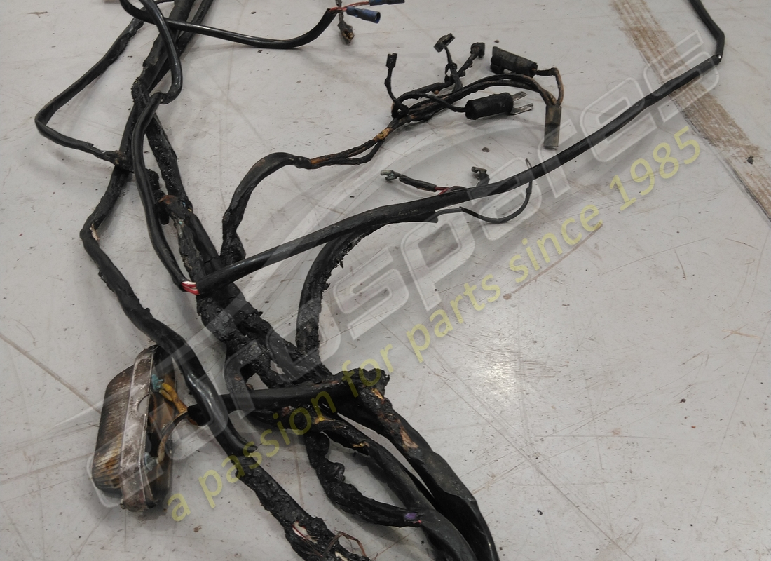 damaged ferrari wiring loom. part number 40332504 (3)