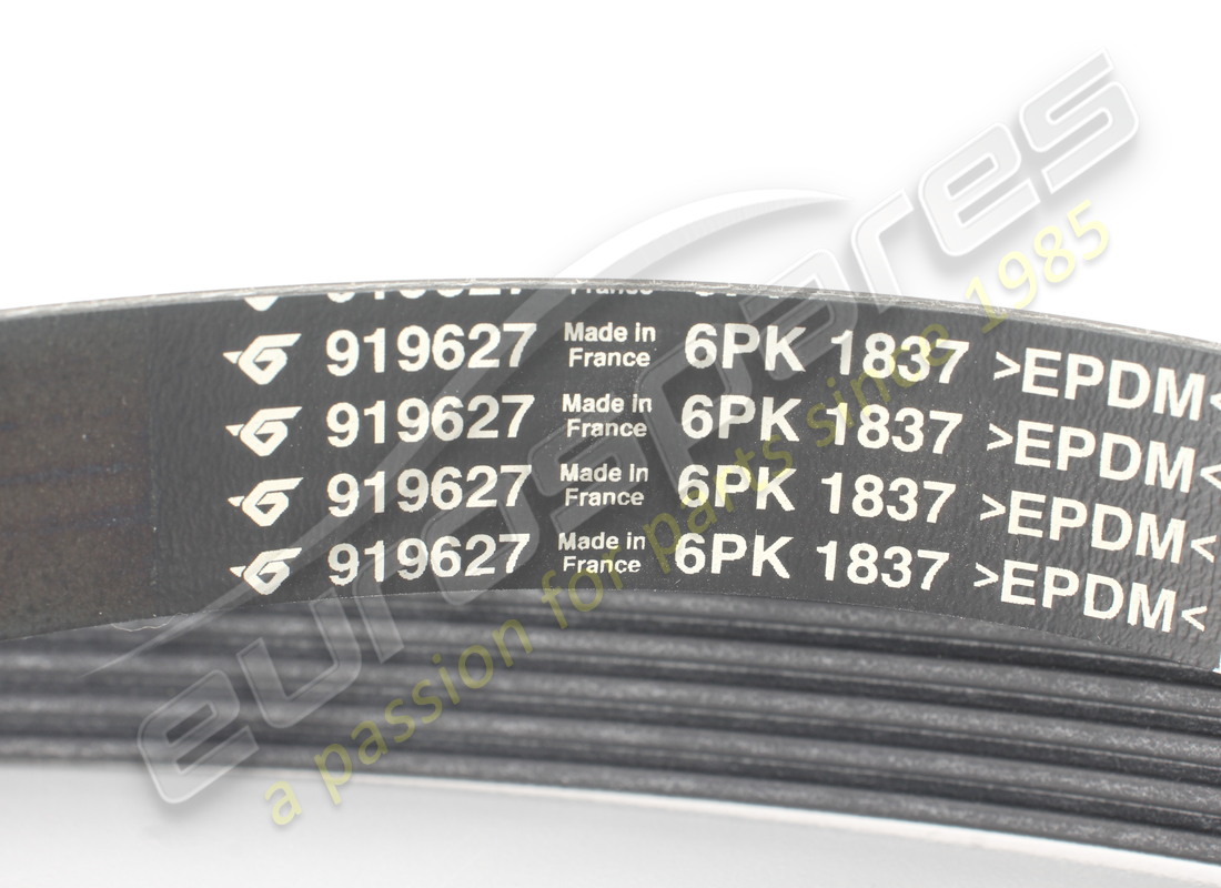 new ferrari cinghia tipo pv-k6 ribs. part number 919627 (2)
