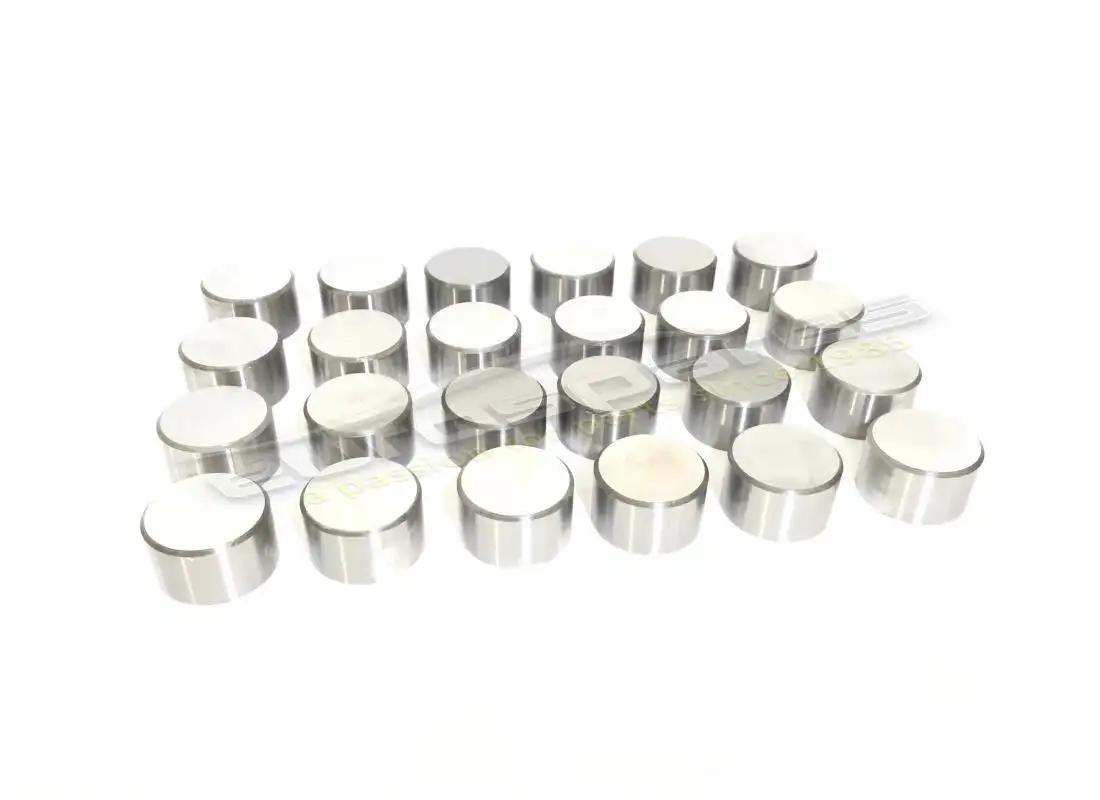 NEW (OTHER) Eurospares CAM FOLLOWER SET . PART NUMBER 001202917A (1)