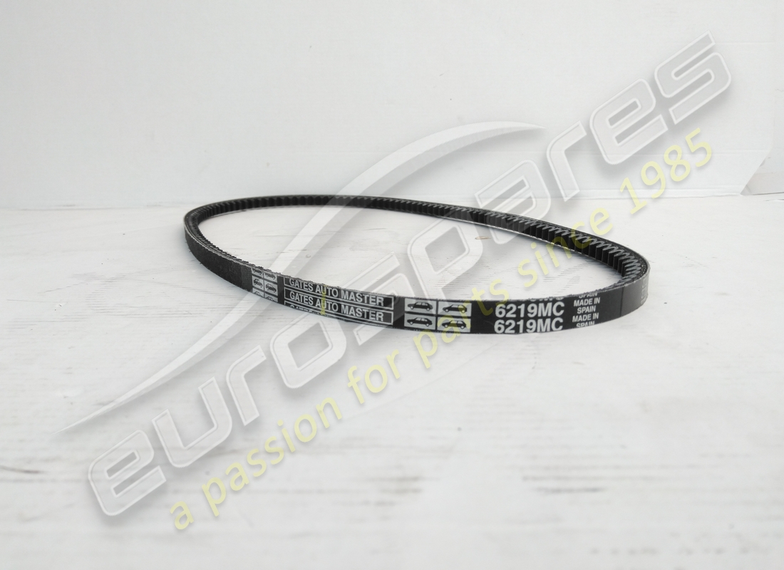 new eurospares belt. part number 125557 (2)