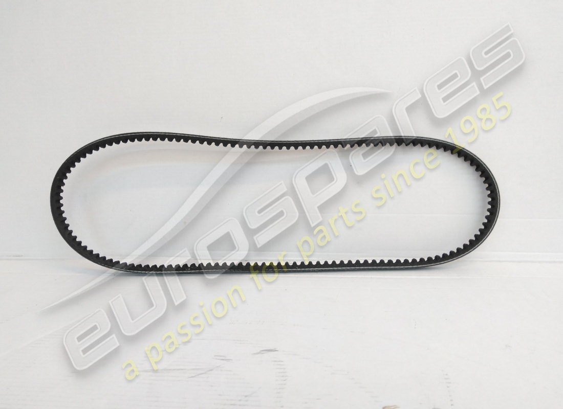 new eurospares belt. part number 125557 (1)