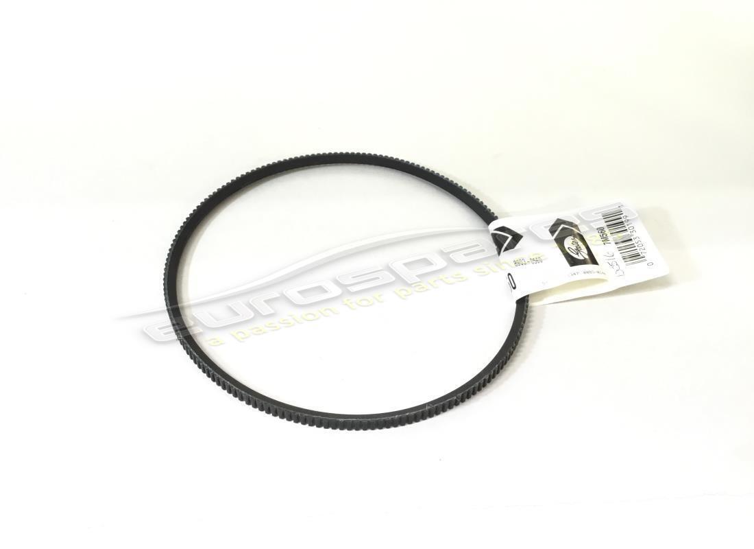 new oe fanbelt. part number 100516 (1)
