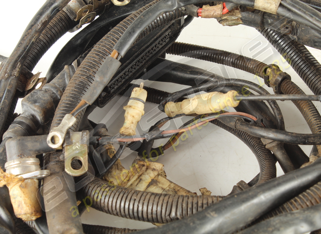 used ferrari cables. part number 124372 (3)