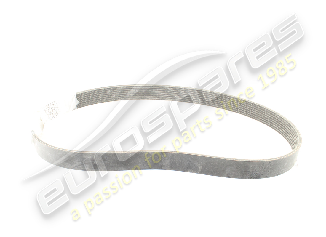 NEW Ferrari BELT POLY-V K8 . PART NUMBER 199827 (1)