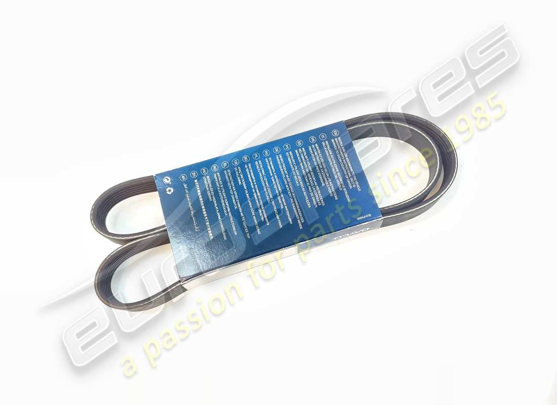 NEW OEM WATER PUMP AND GENERATOR BELT . PART NUMBER 201446 (1)