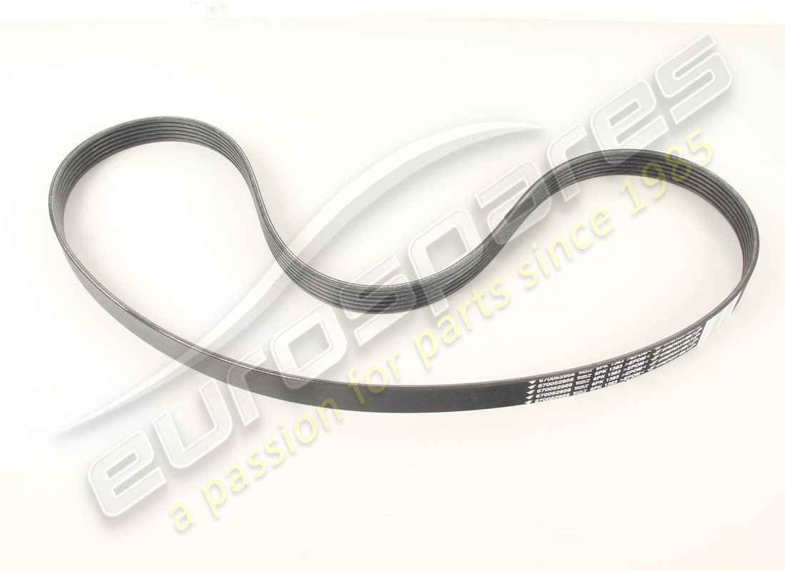new maserati a/c and water pump driving b. part number 670052956 (1)