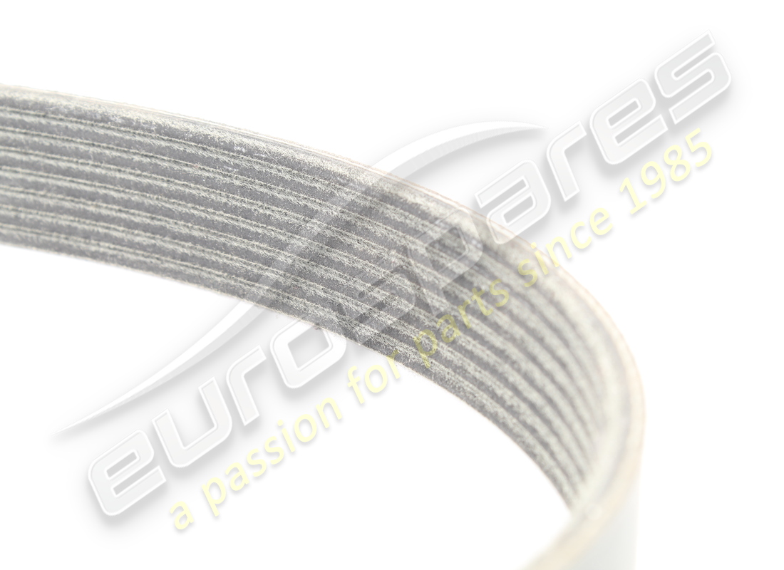 new ferrari belt poly-v k8. part number 199827 (3)