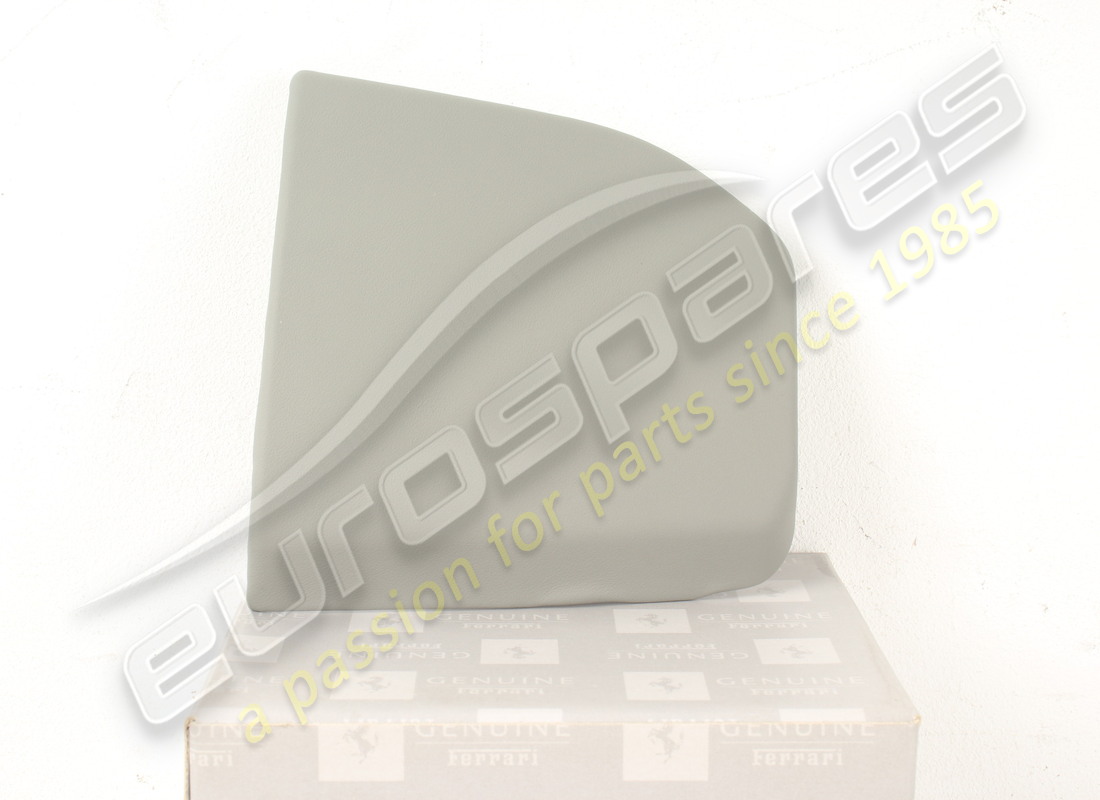 new ferrari rh door dark grey. part number 82085617 (4)