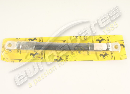 new ferrari earth strap part number 155068