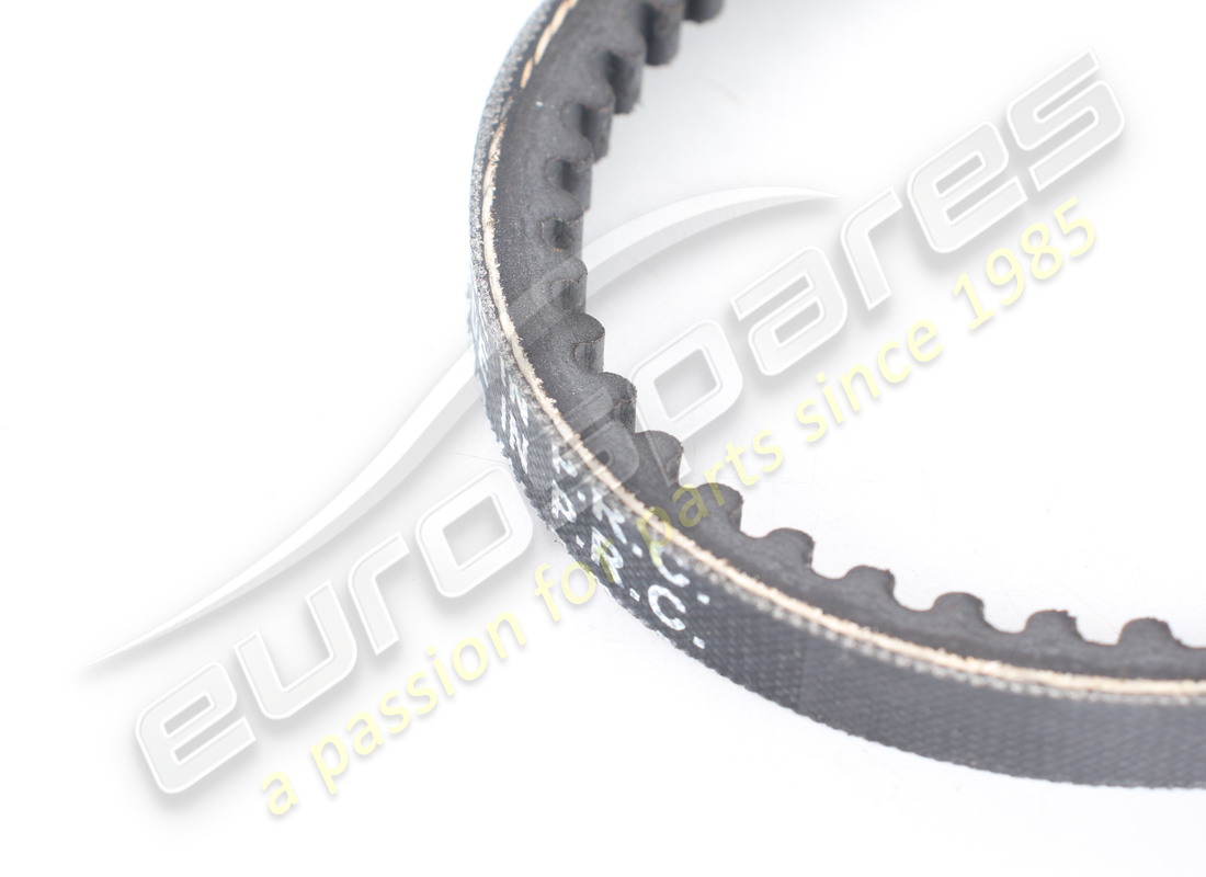 new oe power steering belt. part number 317837372 (2)